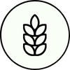 Glyuten